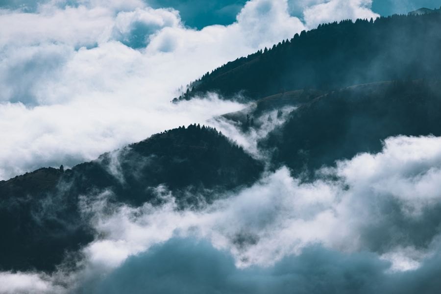 Forested peaks rising through low cloud